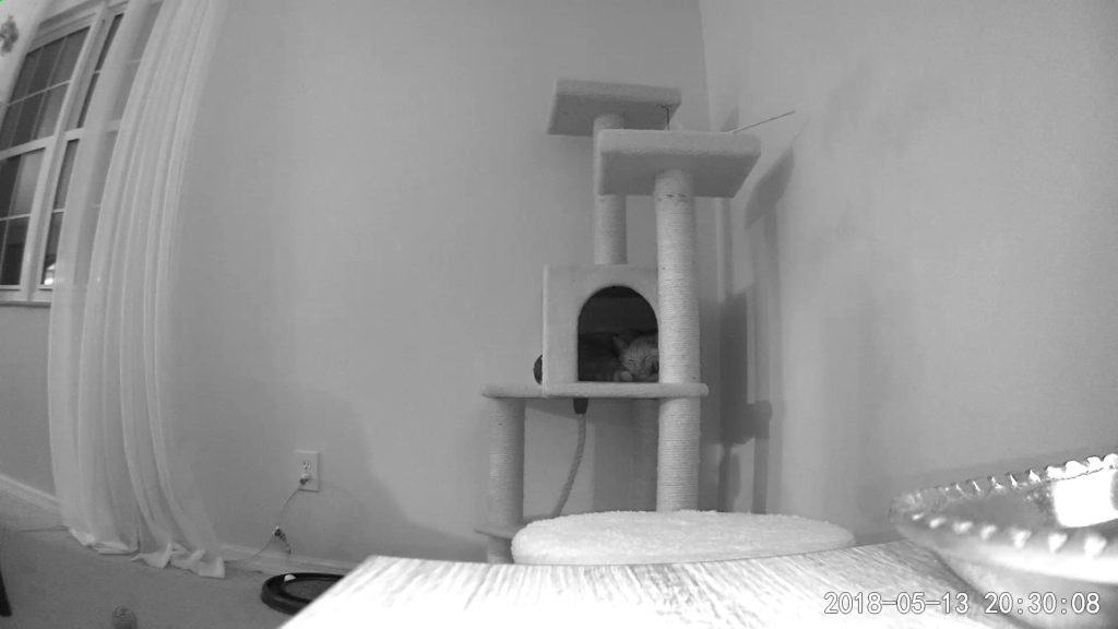 Wyze baby monitor night vision